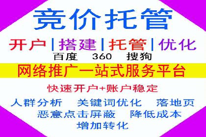 专业SEM托管服务，案例展示精准营销成果